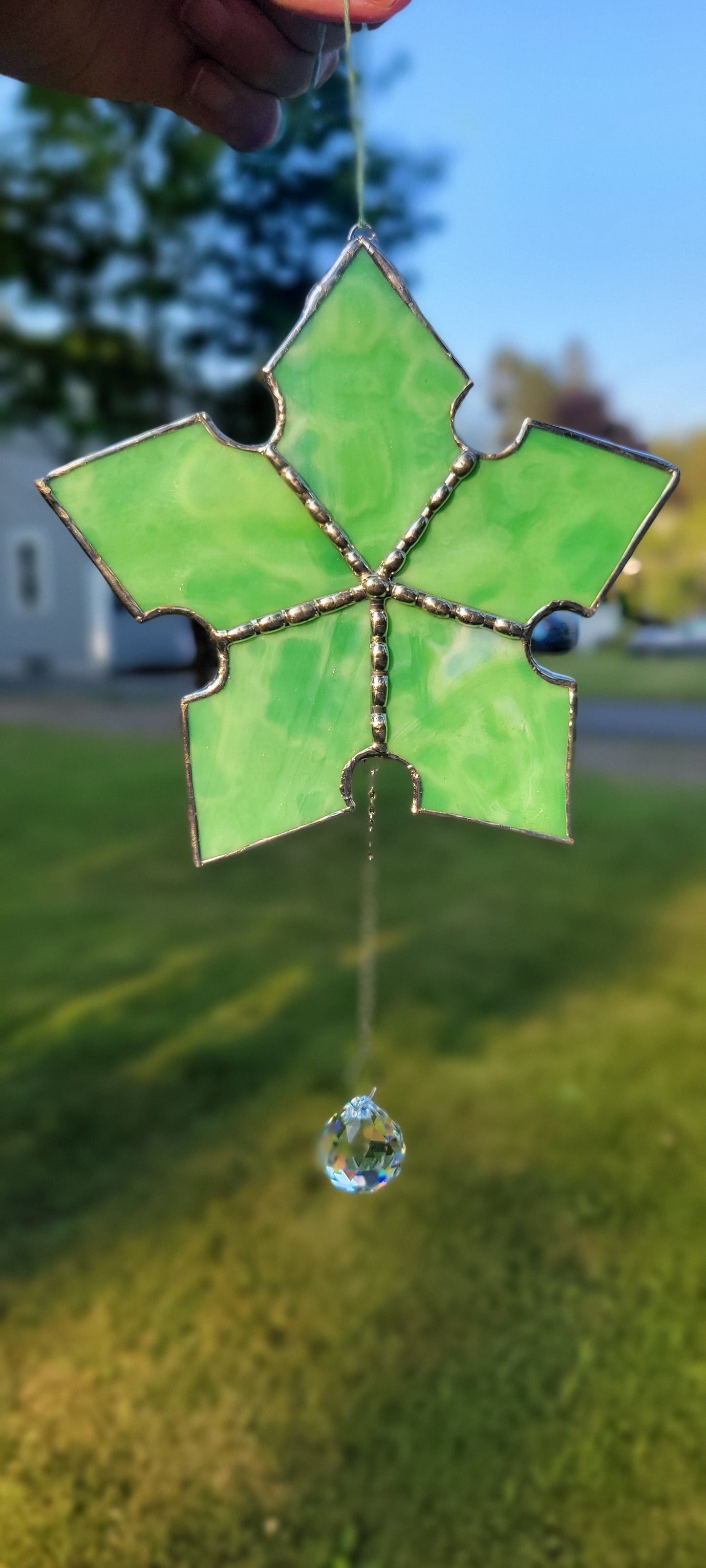 Tree Star